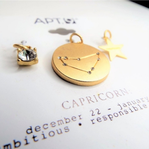 New Apt 9 Capricorn Zodiac Charms 3 Piece Set - Picture 2 of 4